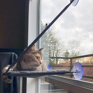 Meet your Posher, Aili